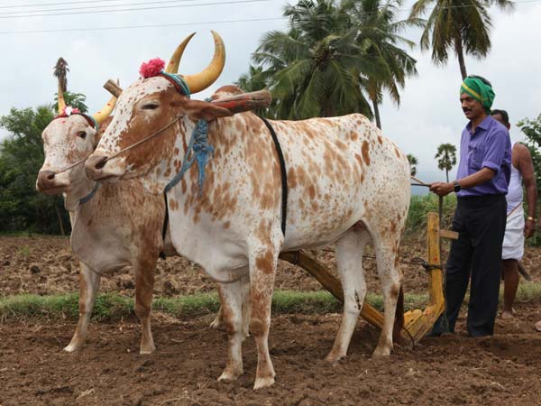 ஏர் பூட்டிய ஸ்டாலின்