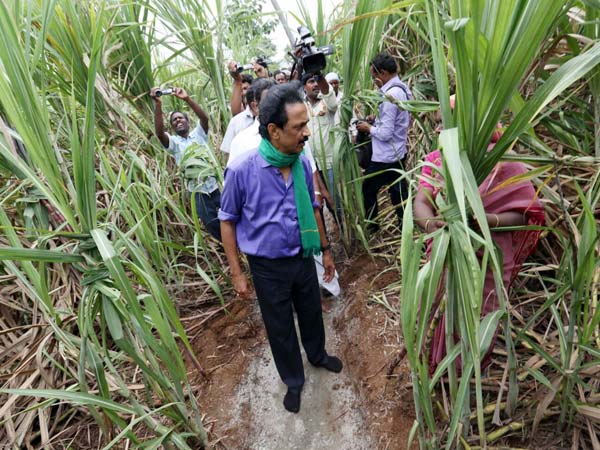 கரும்பு விவசாயிகள்