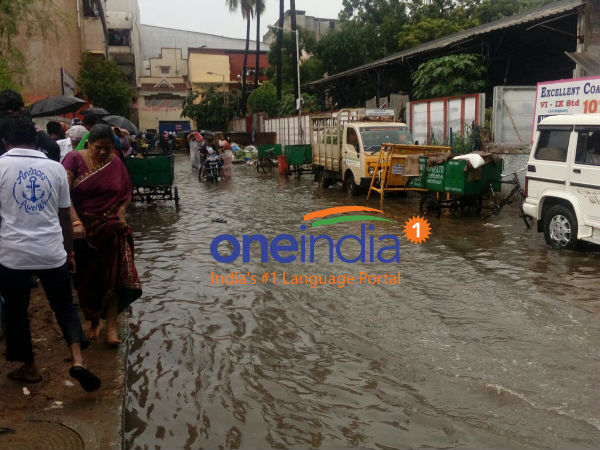 கொட்டிய மழை