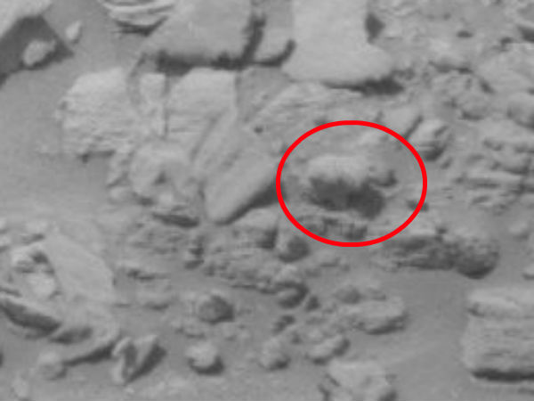 தெளிவான புகைப்படம்...