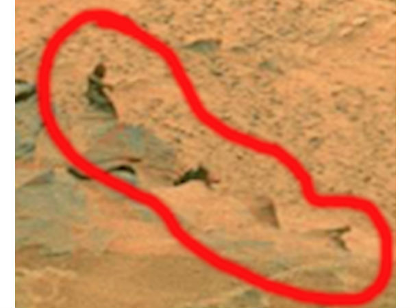 நண்டு, பெண்...