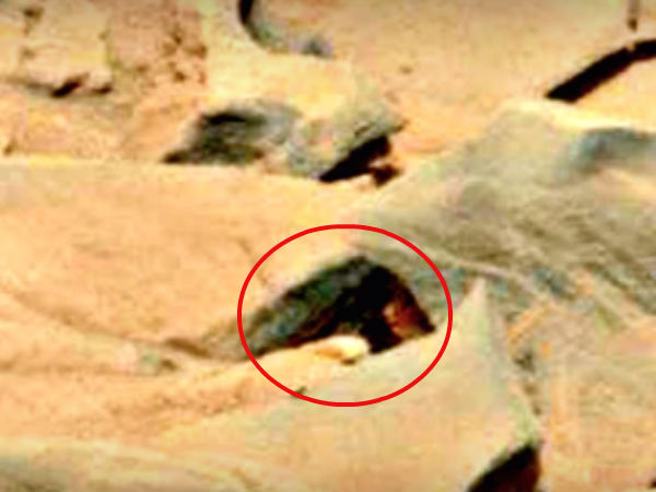 மர்ம உருவம்...