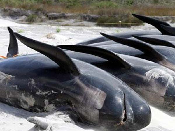 காயம் காரணமாகவும்...