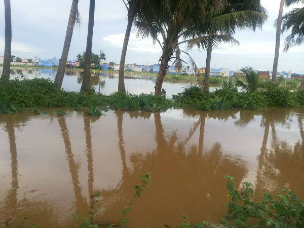 Heavy rain flooded Kadayanallur houses 