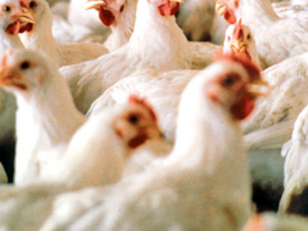 விலை உயர்வு...