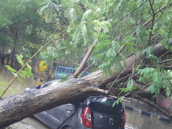 அமைச்சர்கள் ஆய்வு