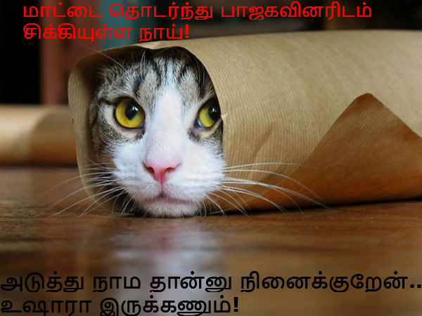 This memes for Just for laugh 