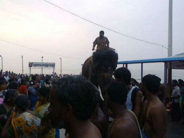 சூரசம்ஹாரம் சூரசம்ஹாரம்