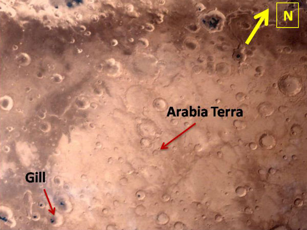 அரேபியன் டெர்ரா...