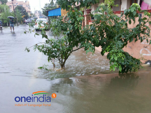 24 மணிநேரம் கொட்டிய மழை