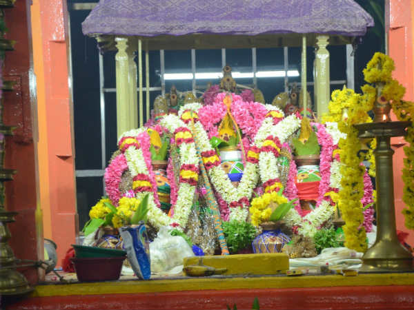 தங்க மயில்வாகனத்தில் இறைவன்