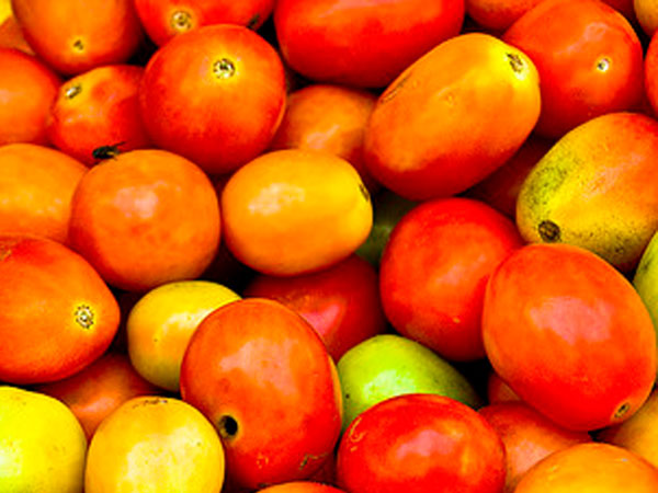 டெல்லியில் கூடி ஆலோசனை டெல்லியில் கூடி ஆலோசனை