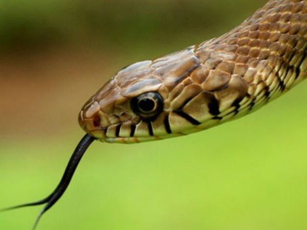 200க்கும் மேற்பட்ட அழைப்புகள்: