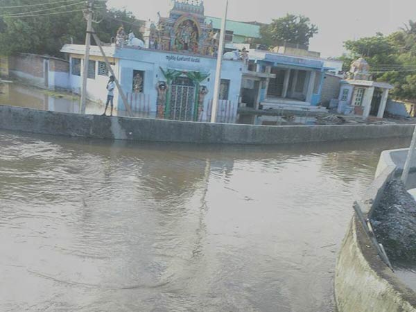 மொட்டை மாடிகளில் தஞ்சம்