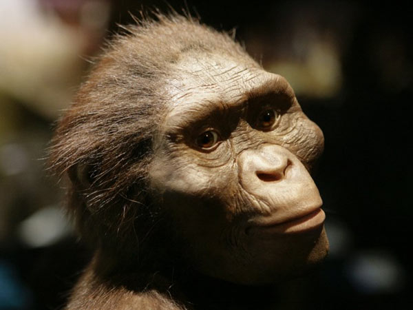 லூசி இனம் இதுதான்: