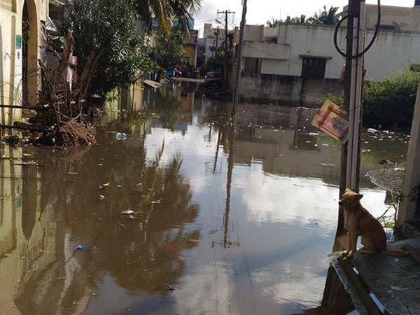 மக்கள் கவலை...