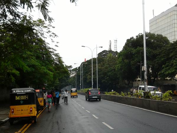 சுறுசுறுப்பு