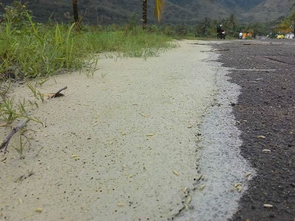Miscreants dump harmful wastes near a checkpost in TN-Kerala border