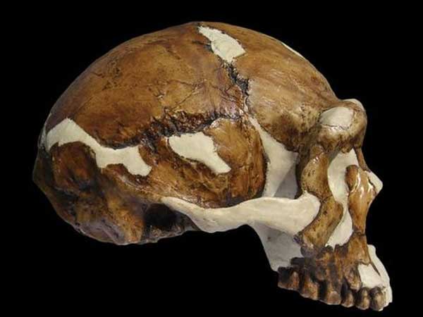 பரிணாம வளர்ச்சி...