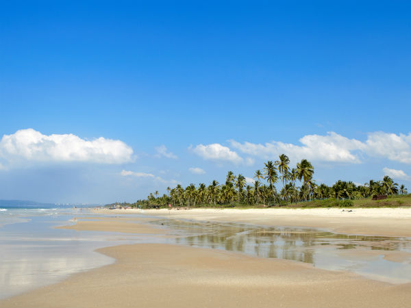 கசப்பு சம்பவங்கள்