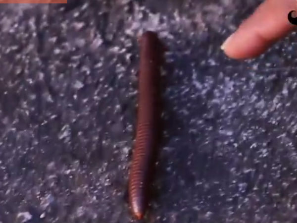 சாதாரண மனிதனின் பயணம்: 