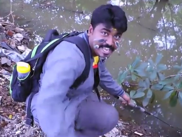 டேஸ்டான இறால் மீன்: 