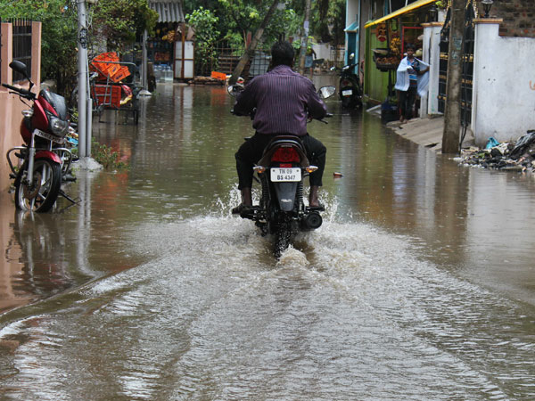 பனைமரத்தால் பாதிப்பு
