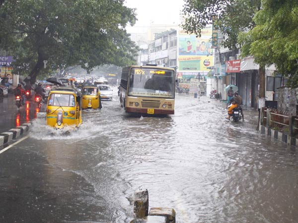 நவம்பர்