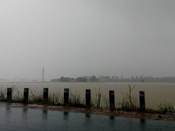 Rain continue to wreak havoc in Cuddalore