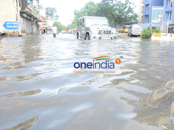 கபளீகரம் செய்த அடையாறு