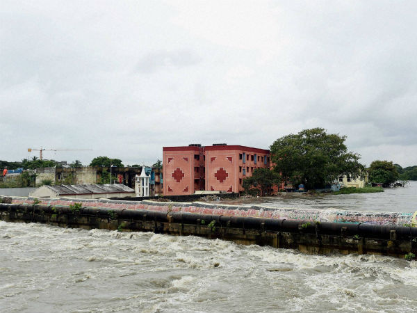 கோட்டூர்புரத்தில் அச்சம்