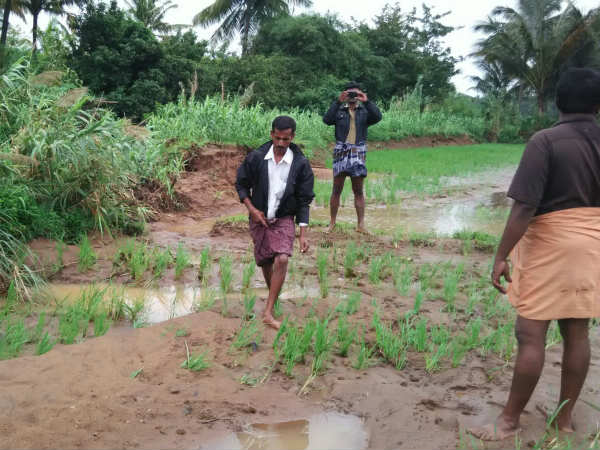 விவசாய நிவாரணம்