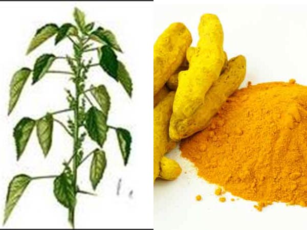 சித்த மருத்துவத்தில் மருந்து