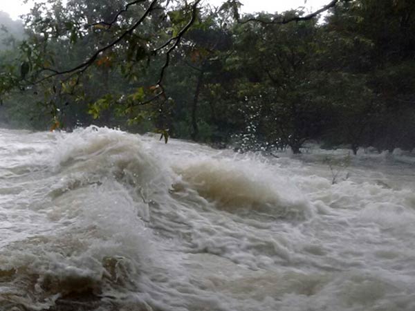 அருவிகளில் வெள்ளப்பெருக்கு