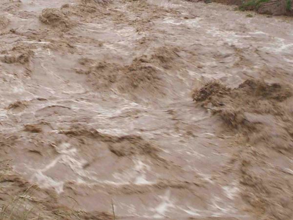 வயல்கள் மூழ்கின 