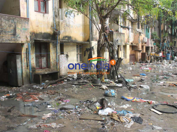 தோல் நோய்கள்