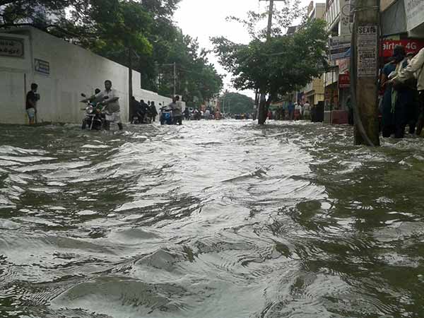 நெல்லையில் தொடர் மழை