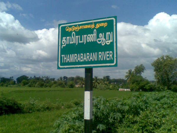 NDRF teams put on alert in Nellai