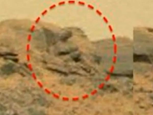 புத்தர் சிலை...