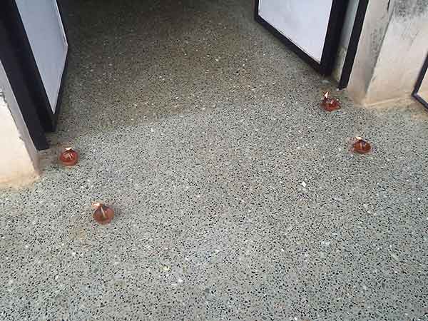 விளக்கேற்றி வழிபாடு