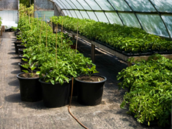 ஆர்வம் தேவை...