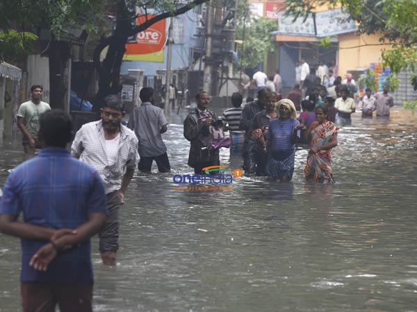 நடவடிக்கை தேவை...