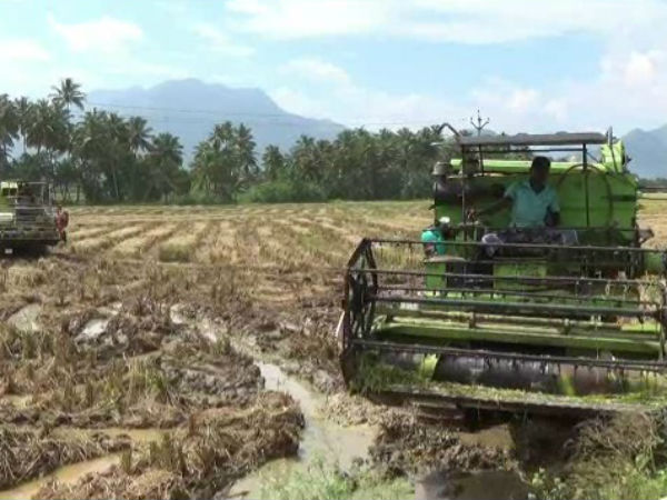 ஏக்கருக்கு ரூ. 25000 ஏக்கருக்கு ரூ. 25000