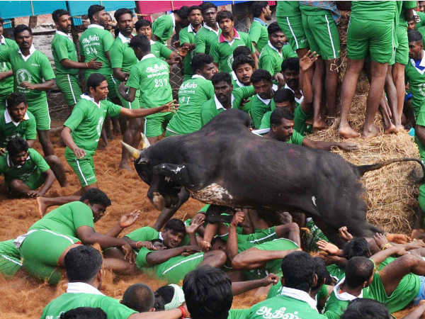 பொங்கல் பண்டிகை