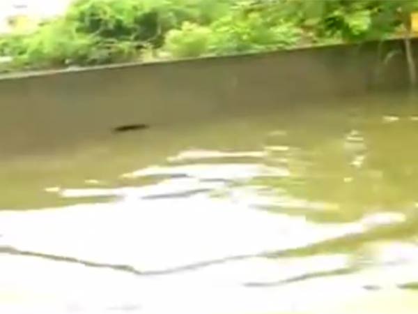  ஏரி நீர் திறப்பு