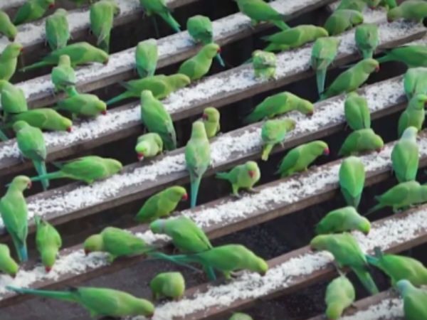 வெள்ளத்திலும் விடாத அன்பு