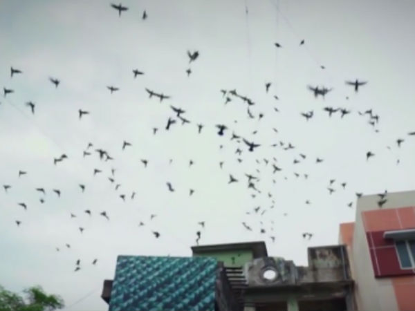 அதனால் என்ன பரவாயில்லை