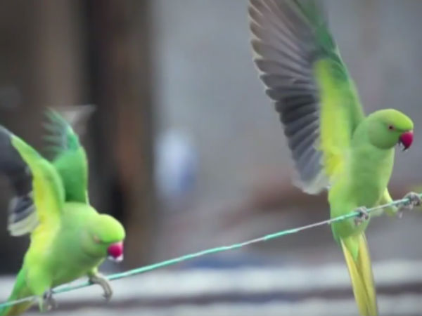 10 நாட்களுக்கு ஸ்டாக் இருக்கும்