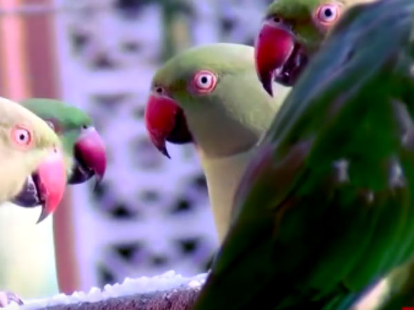 சுனாமி தாக்கியபோது