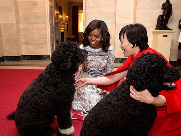 செல்லக்குட்டிகள்